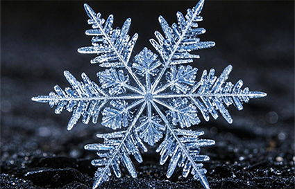 沈阳摄影学校_不起眼却能拍大片的摄影方法